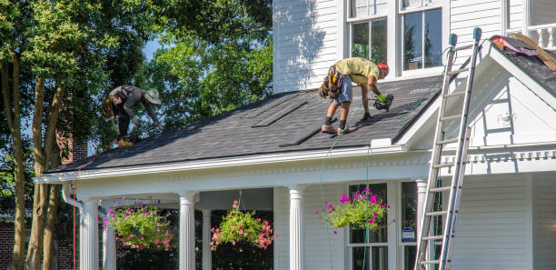 Best Roof Gutter Cleaning  in Pembroke, VA