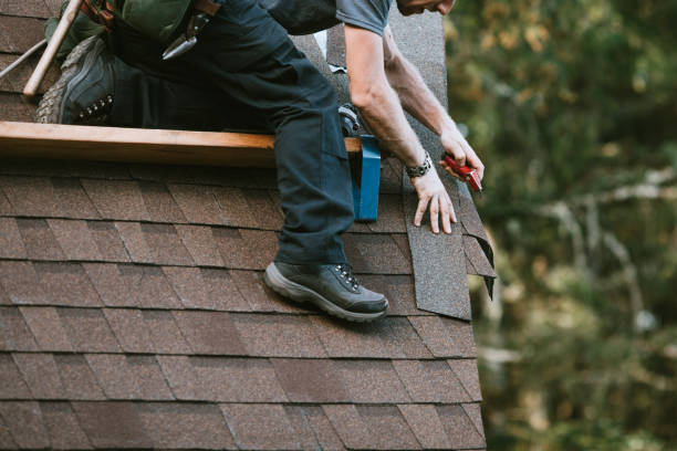 Best Roof Gutter Cleaning  in Pembroke, VA