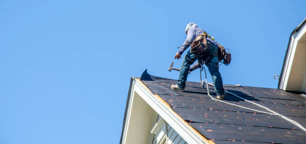 Roof Gutter Cleaning in Pembroke, VA